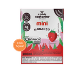 Bebida Castanha Morango 200ml